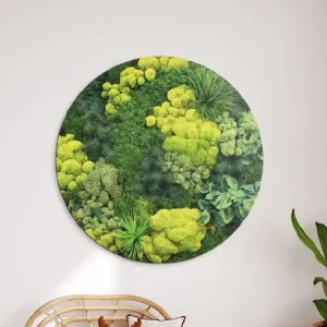 Rundes Moosbild Grün (UV-Druck) Direkt Vom Hersteller
