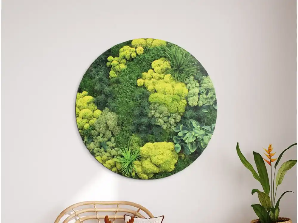 Rundes Moosbild Grün (UV-Druck) Direkt Vom Hersteller