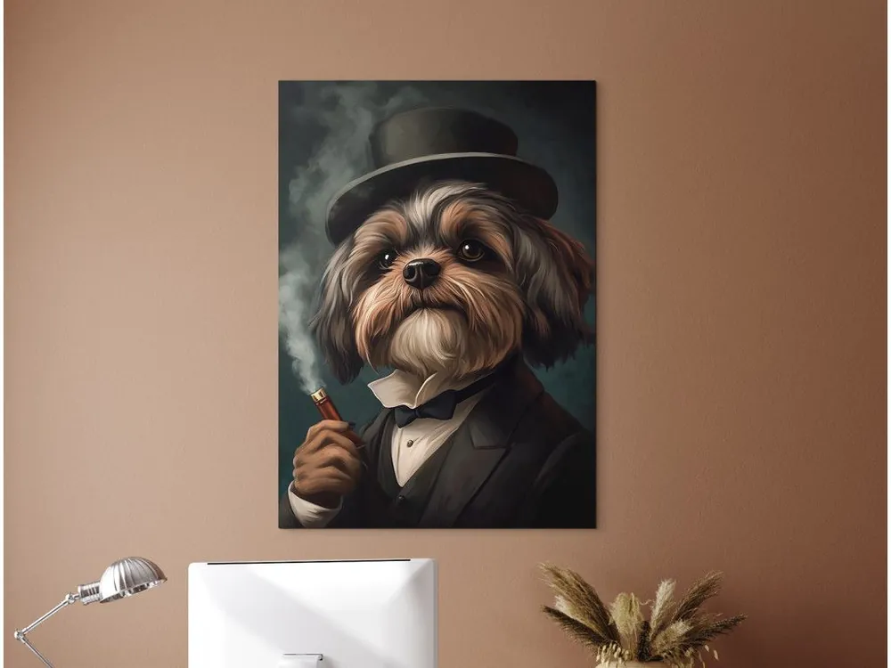Versand Am Gleichen Tag Bild Herr Shih Tzu mit einem Hut