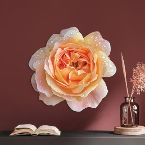 Bild Orangefarbene Rose Top-Angebot