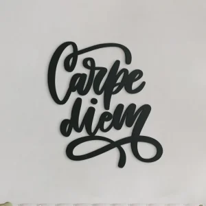 Holzaufschrift für die Wand Carpe diem Garantierte Lieferung