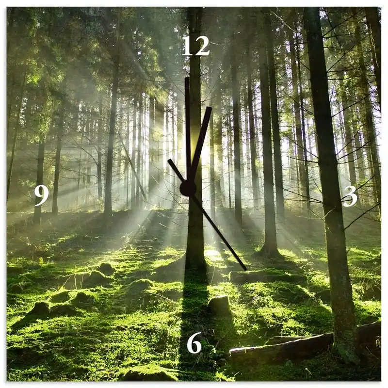 Wald im Gegenlicht T5SV Wanduhr auf Alu 30x30 cm Billig