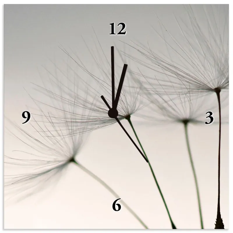 Pusteblumen-Samen I T5SQ Wanduhr auf Alu 30x30 cm Preisknaller