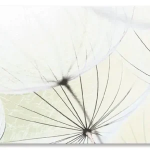 Gratis Versand Pusteblumen-Samen aufgehellt Alu-Küchenrückwand 60x50 cm