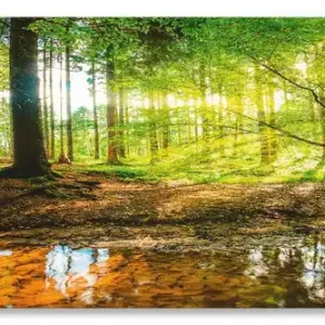 Solange Der Vorrat Reicht Wald mit Bach Alu-Küchenrückwand 60x50 cm