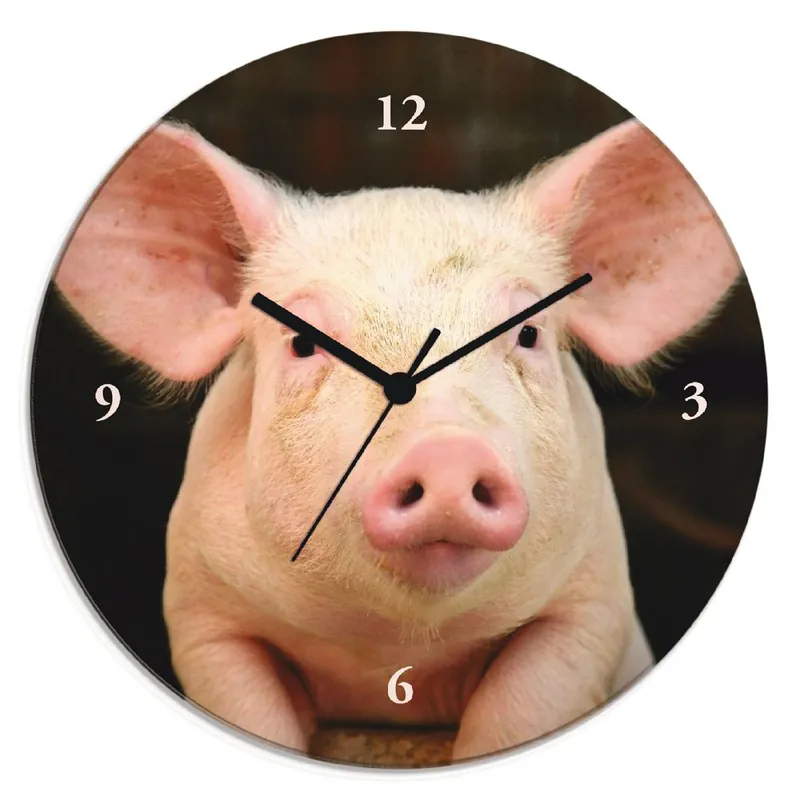 Heißes Angebot Vorwitziges Schwein Wanduhr auf Glas Ø 30 cm