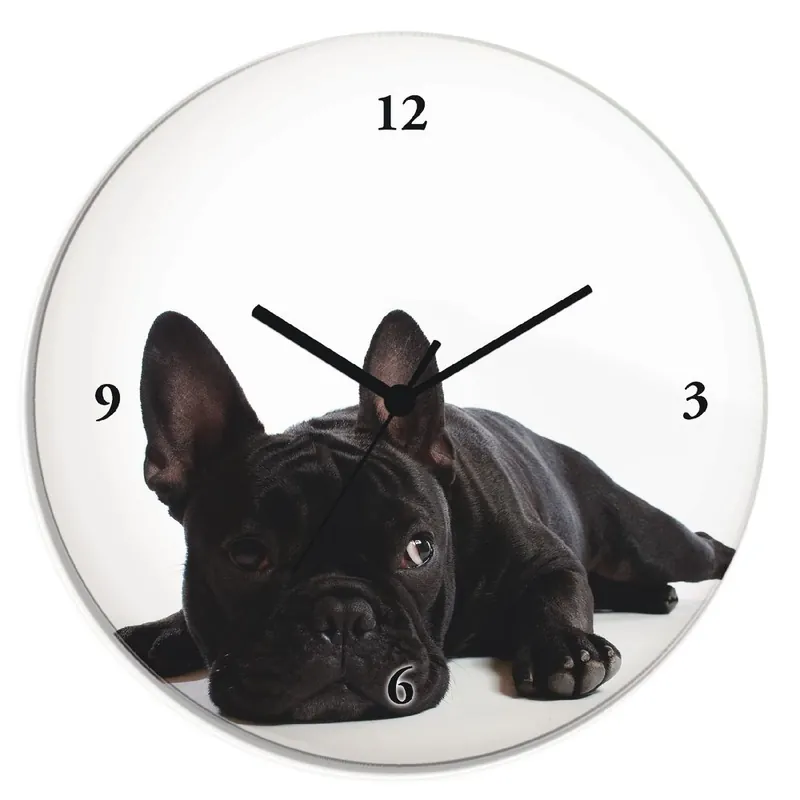 Sonderangebot Bulldogge Wanduhr auf Glas Ø 30 cm