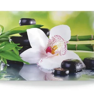 Spa Steine Bambus Zweige Orchidee T9IQ Wandbild Zertifiziert
