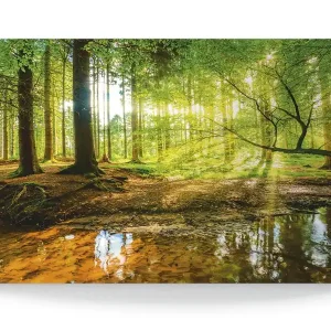 Wald mit Bach T9IO Wandbild Rabatt