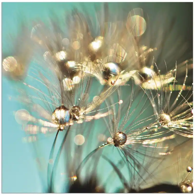 Pusteblume glänzendes Gold S9LP Wandbild Rabatt