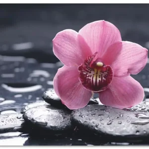 Stillleben mit Kiesel und einer Orchidee T9MN Wandbild Kostenloser Rückversand