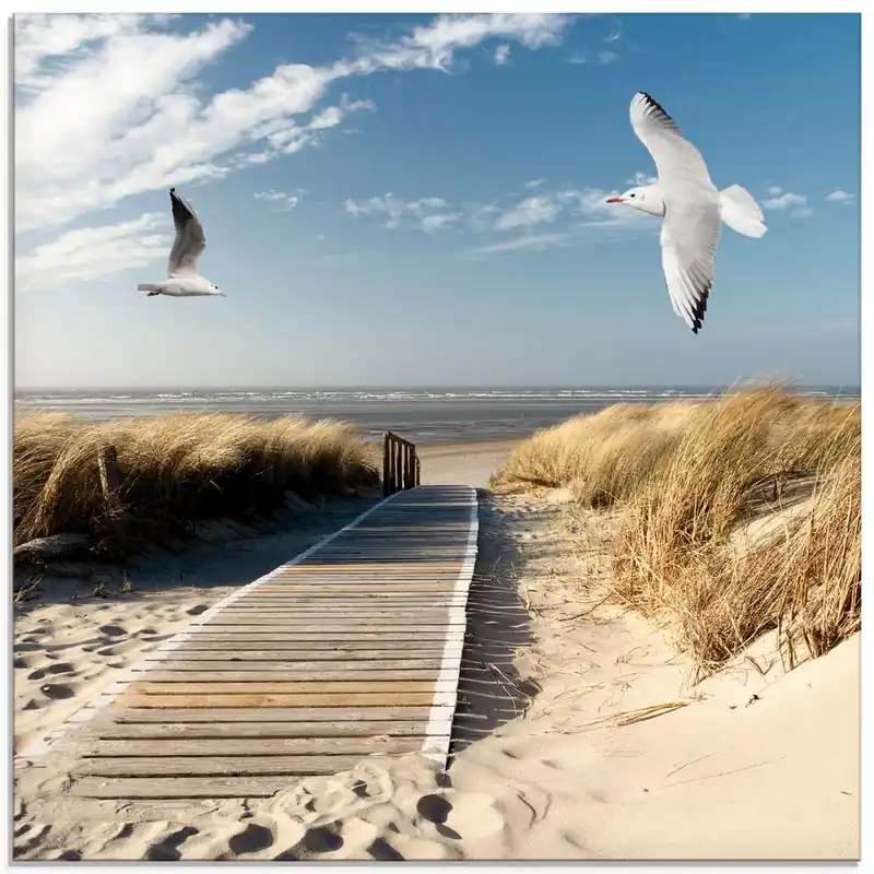 Nordseestrand auf Langeoog mit Möwen T9NJ Glasbild 20x20 cm Heißes Angebot