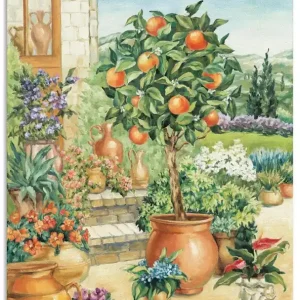 Schnäppchen Orangenbaum im Garten T5HY Wandbild