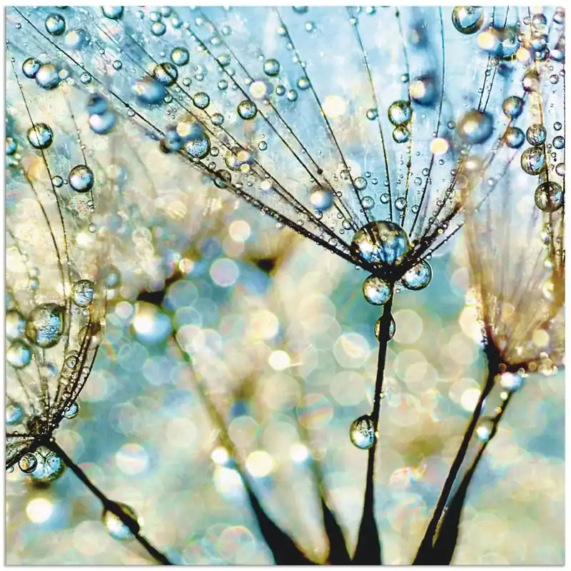 Pusteblume Blaue Diamanten S9MF Wandbild Must-Have