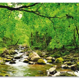 Herbstwald Fluss Smolny T1YH Wandbild Neu