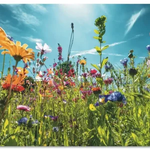 Buntes Blumenfeld U2KS Wandbild Top-Preis