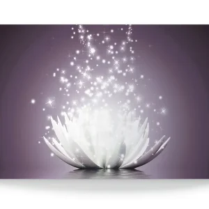 Top-Angebot Magie der Lotus-Blume - violet S6CA Wandbild