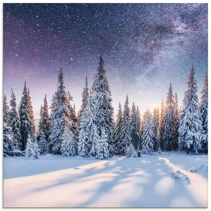 Tannenwald im Schnee vorm Sternenhimmel U1TO Wandbild Kostenloser Versand