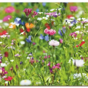 Günstig Blumenwiese I Q6WQ Wandbild