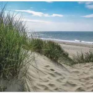 Dünenlandschaft im Sommer an der Nordsee T1OE Wandbild Schneller Versand