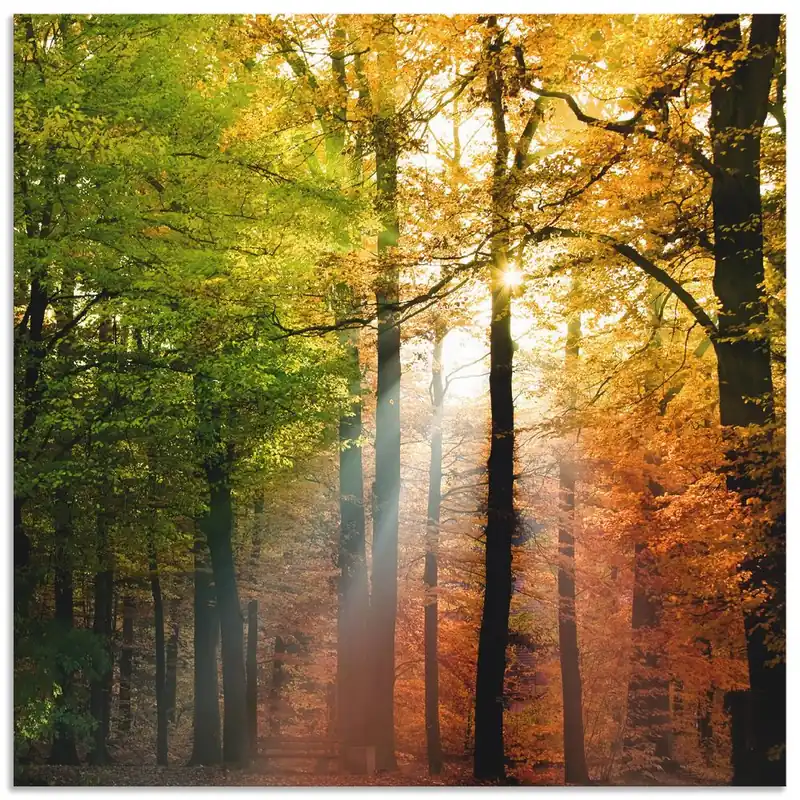 Solange Der Vorrat Reicht Schöner Herbsttag 2 T5VL Wandbild