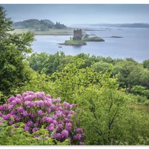 Castle Stalker Loch Linnhe, Schottland U5CO Neu Im Sortiment