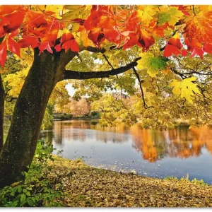 Herbsttag an einem ruhigen See T4SF Wandbild Highlight