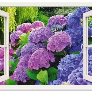 fensterblick Hortensien im Garten T5PZ Wandbild Beliebt
