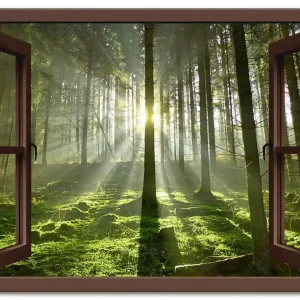 Bestseller Fensterblick - Wald im Gegenlicht, braun T5SY Wandbild