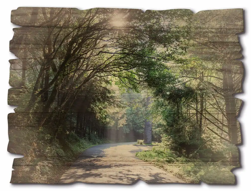 Sonniger Wald U1TD Holzbild Vintage 40x30 cm Bestseller