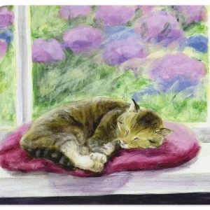 Sofort Bestellen Katze auf Gartenfensterbank Q3JC Wandbild