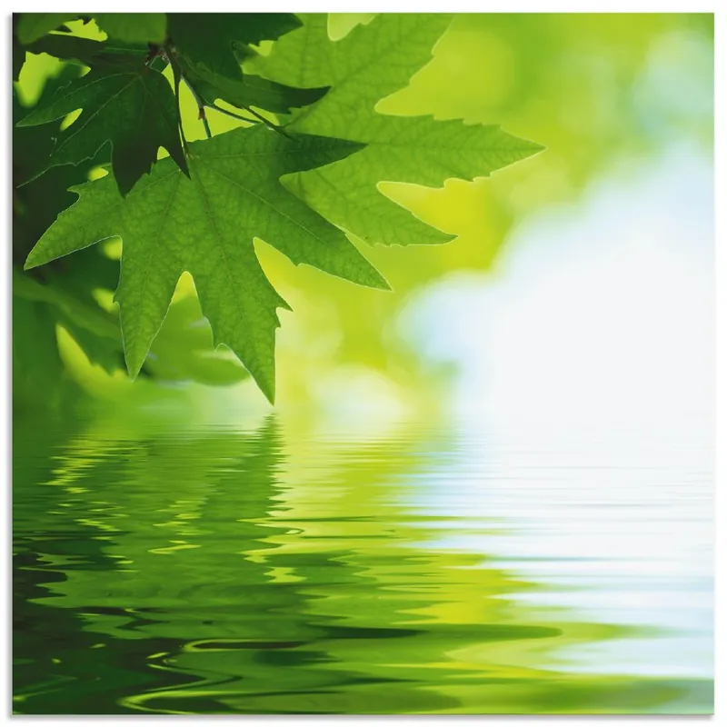 Grüne Blätter reflektieren im Wasser T5TM Wandbild Zertifiziert