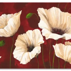 Weiße Mohnblumen vor rot T2EW Wandbild Sale