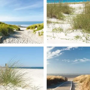 Strand und Sanddünen Poster Set DIN A4 / je 21x29,7 cm Aktuell