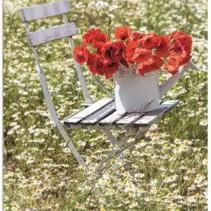 Stuhl im Kamille Feld mit Mohnblüten T1PW Wandbild Preiswert
