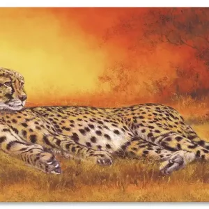Gepard T3HL Wandbild Begrenztes Angebot
