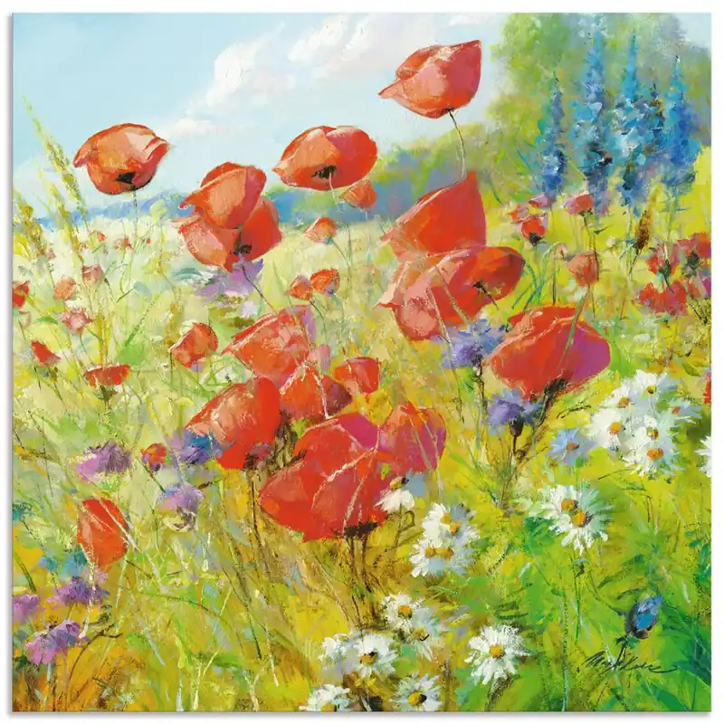 Sommerwiese mit Mohnblumen T4MH Wandbild Finale Aktion