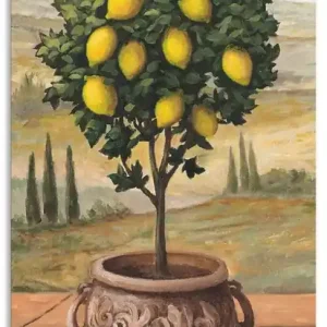 Ausverkauf Zitronenbaum T4MN Wandbild