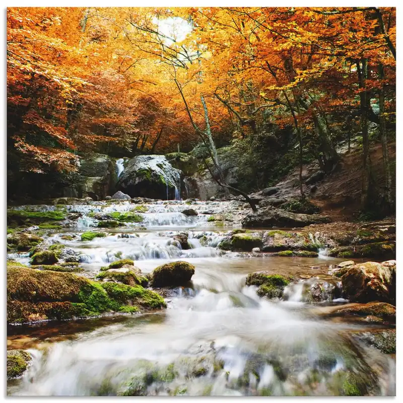 Herbstlicher Wasserfall T5TE Wandbild Echt
