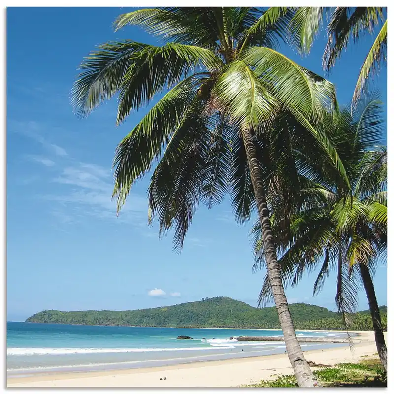 Strand mit Palmen T5GY Wandbild Mega-Angebot