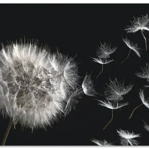 Sonderangebot Pusteblume U1UG Wandbild