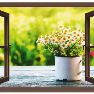 Fensterblick Garten mit Gänseblümchen T4UF Wandbild Letzte Chance