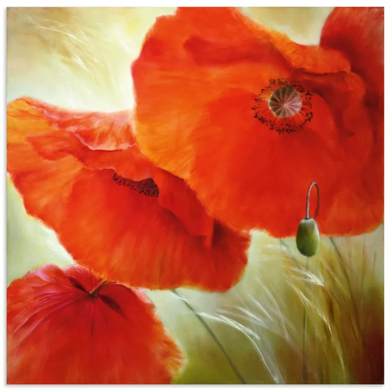 Drei Mal Mohn U4QN Wandbild Bestpreis