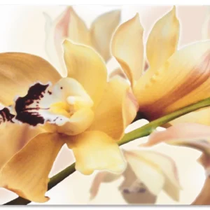 Beliebt Gelbe Orchidee T5EZ Wandbild