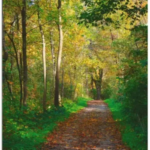 Schnäppchen Weg im Herbst Wald T2KW Wandbild