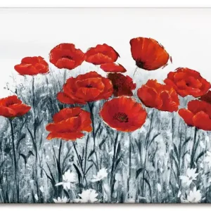 Roter Mohn im Feld J5BV Wandbild Neuheit