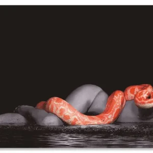 Direkt Vom Hersteller Frau in Wasser liegend mit roter Python S6DV Wandbild
