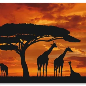 Herde von Giraffen im Sonnenuntergang S8WS Wandbild Kostenfreie Lieferung