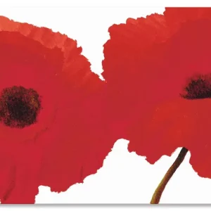 Roter Mohn II T3PS Wandbild Abverkauf