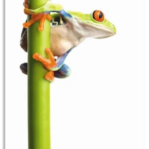 Frosch umfasst einen Pflanzenstengel T5WZ Wandbild Markenware